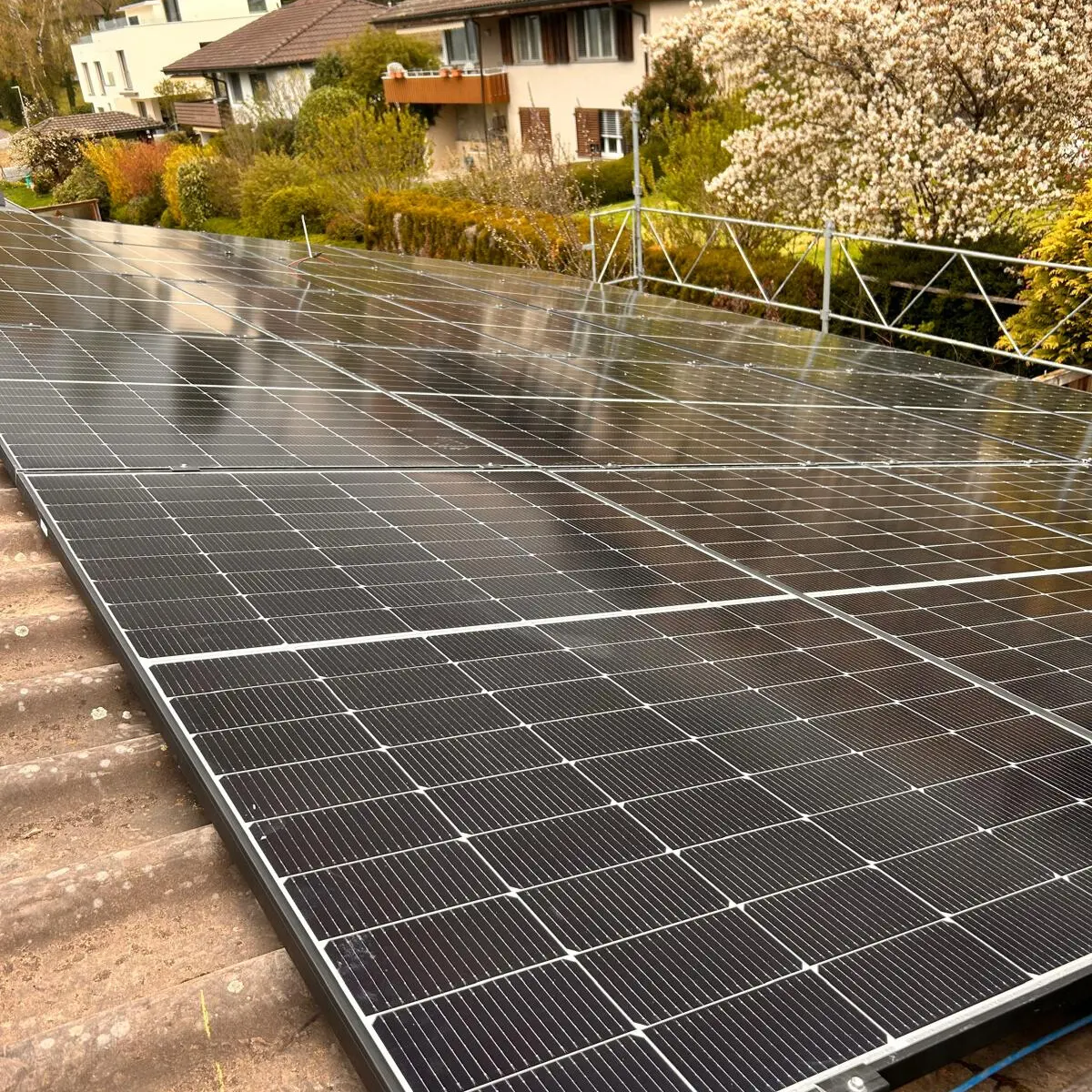 58c24636-7075-41b3-a715-cec11e087f15 (1)